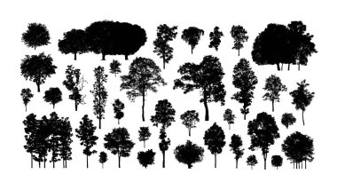 Beyaz arkaplanda izole edilmiş düzenlenebilir genel ağaç silueti