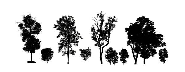 Set Von Bäumen Silhouette Für Pinsel Auf Weißem Hintergrund — Stockfoto