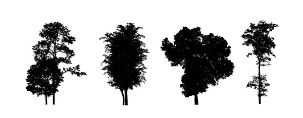 Набор Деревьев Силуэта Кисти Белом Фоне — стоковое фото