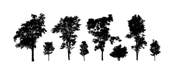 Zestaw Drzewek Sylwetka Pędzla Białym Tle — Zdjęcie stockowe