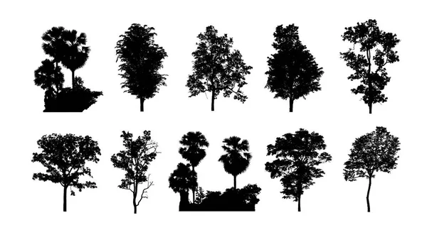 Set Alberi Silhouette Pennello Sfondo Bianco — Foto Stock