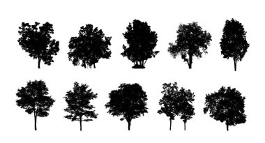 Beyaz arkaplanda fırça için ağaç silueti