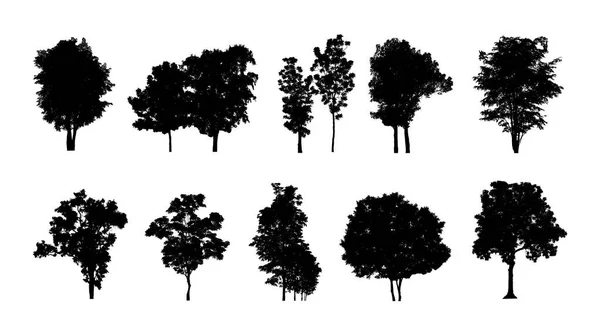 Set Van Bomen Silhouet Voor Borstel Witte Achtergrond — Stockfoto