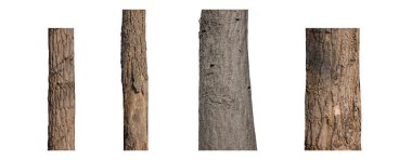 Beyaz arkaplanda izole edilmiş ağaç gövdesi koleksiyonu.
