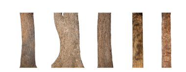 Beyaz arkaplanda izole edilmiş ağaç gövdesi koleksiyonu.