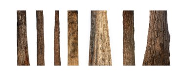 Beyaz arkaplanda izole edilmiş ağaç gövdesi koleksiyonu.
