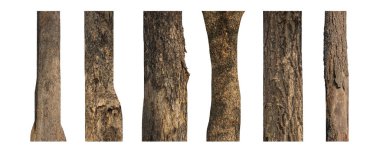 Beyaz arkaplanda izole edilmiş ağaç gövdesi koleksiyonu.