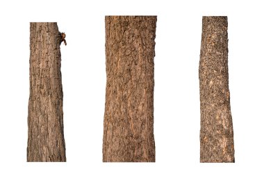 Bagajlar beyaz arkaplanda izole edildi.