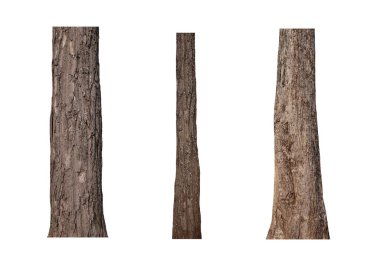 Bagajlar beyaz arkaplanda izole edildi.