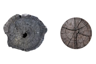 Beyaz arkaplanda izole edilmiş ağaç gövdesi koleksiyonu.