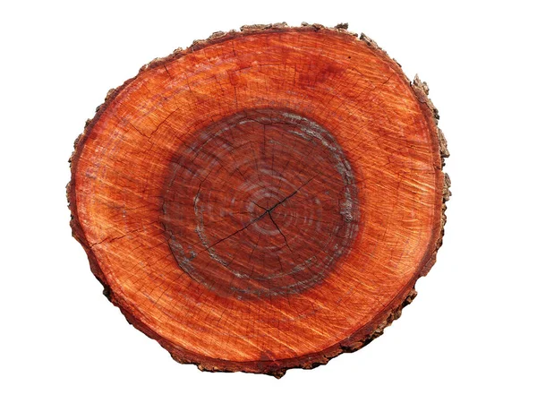 Beyaz arkaplandaki ağaç kabuğunun kabartmalı dokusu