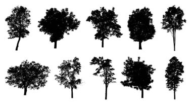 Beyaz arkaplanda fırça için ağaç silueti