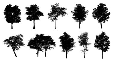 Beyaz arkaplanda fırça için ağaç silueti