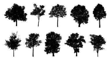 Beyaz arkaplanda fırça için ağaç silueti