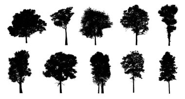 Beyaz arkaplanda fırça için ağaç silueti