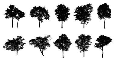 Beyaz arkaplanda fırça için ağaç silueti