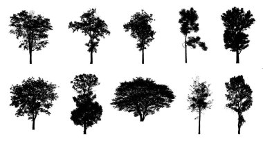 Beyaz arkaplanda fırça için ağaç silueti