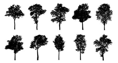 Beyaz arkaplanda fırça için ağaç silueti