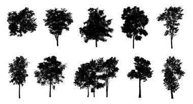 Beyaz arkaplanda fırça için ağaç silueti