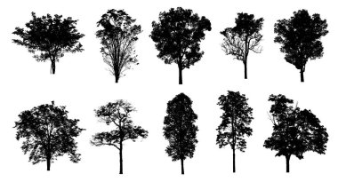 Beyaz arkaplanda fırça için ağaç silueti