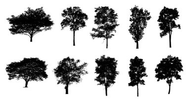 Beyaz arkaplanda fırça için ağaç silueti