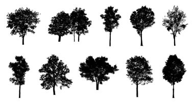 Beyaz arkaplanda fırça için ağaç silueti