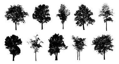 Beyaz arkaplanda fırça için ağaç silueti