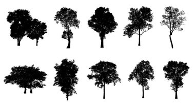 Beyaz arkaplanda fırça için ağaç silueti