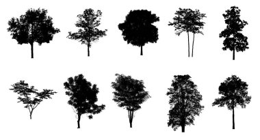 Beyaz arkaplanda fırça için ağaç silueti