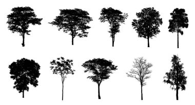 Beyaz arkaplanda fırça için ağaç silueti