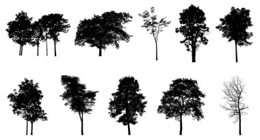 Beyaz arkaplanda izole edilmiş düzenlenebilir genel ağaç silueti.