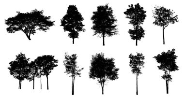 Beyaz arkaplanda izole edilmiş düzenlenebilir genel ağaç silueti.