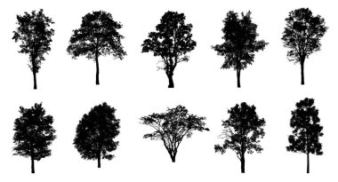 Beyaz arkaplanda izole edilmiş düzenlenebilir genel ağaç silueti.