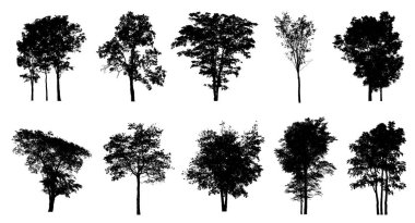 Beyaz arkaplanda izole edilmiş düzenlenebilir genel ağaç silueti.