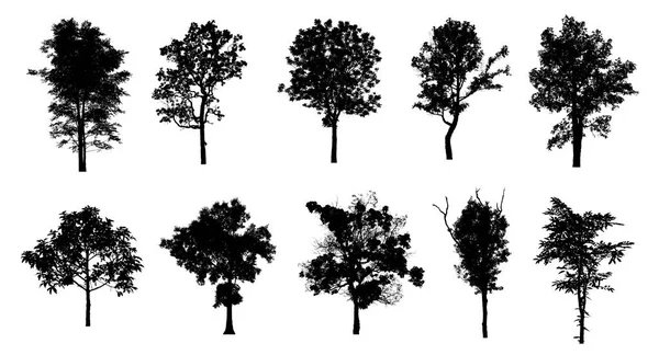 Set Trees Silhouette Brush White Background — Stock Photo, Image