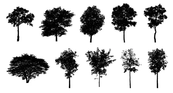 白い背景のブラシのための木のシルエットのセット — ストック写真