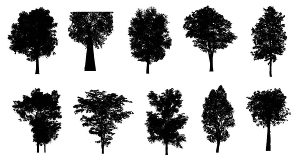 Set Alberi Silhouette Pennello Sfondo Bianco — Foto Stock