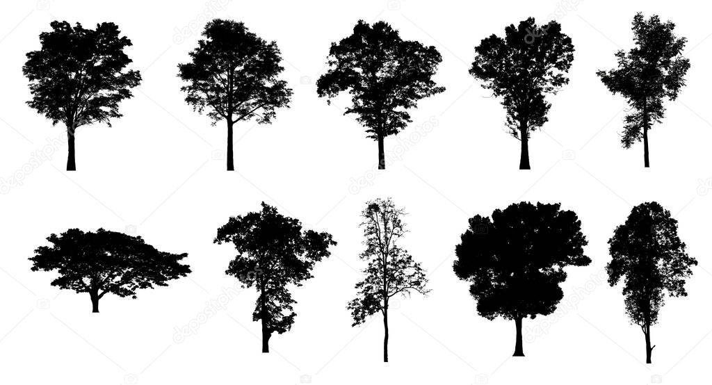 Set of trees silhouette for brush on white background