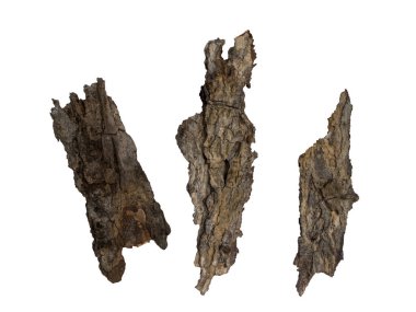  Beyaz arkaplandaki ağaç kabuğunun kabartmalı dokusu