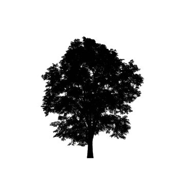 Beyaz arkaplanda fırça için ağaç silueti