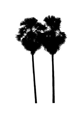 Beyaz arkaplanda fırça için ağaç silueti