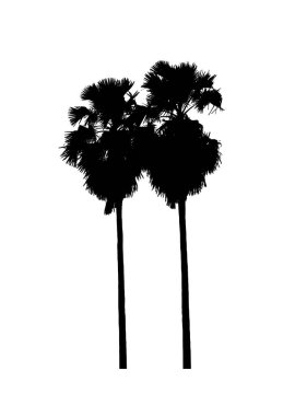 Beyaz arkaplanda fırça için ağaç silueti