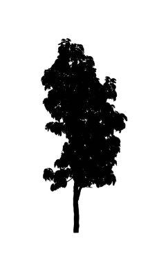 Beyaz arkaplanda fırça için ağaç silueti
