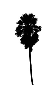 Beyaz arkaplanda fırça için ağaç silueti