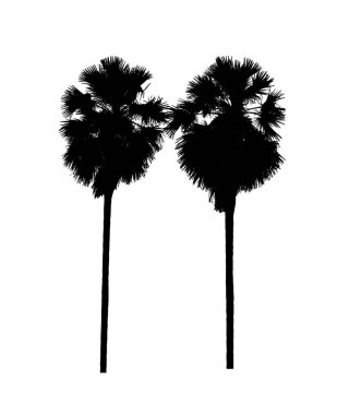 Beyaz arkaplanda fırça için ağaç silueti