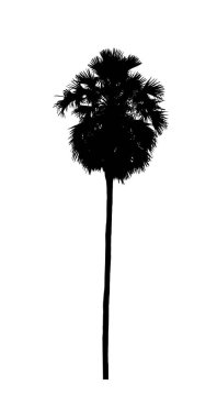 Beyaz arkaplanda fırça için ağaç silueti