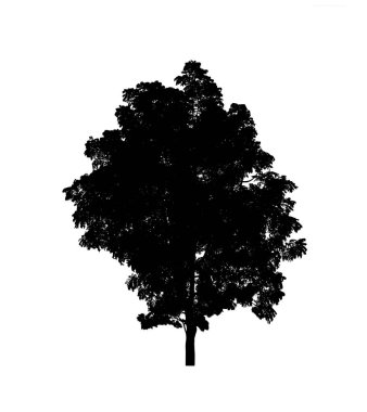 Beyaz arkaplanda fırça için ağaç silueti