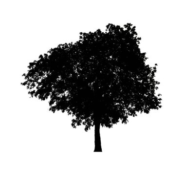 Beyaz arkaplanda fırça için ağaç silueti