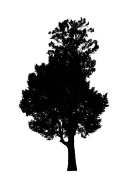 Beyaz arkaplanda fırça için ağaç silueti