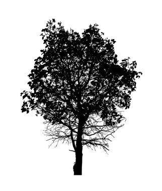 Beyaz arkaplanda fırça için ağaç silueti